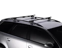 Bare de transport Thule  767000