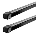 Bazar -  Bare de transport Thule  127 cm