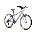 Bicicletă pentru copii Academy  Grade 5 Edition - FUNtasy Silver