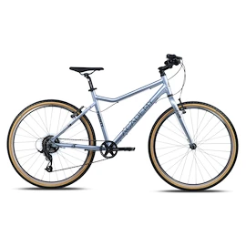 Bicicletă pentru copii Academy Grade 6 Edition - FUNtasy Silver