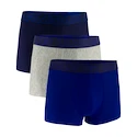 Boxeri pentru bărbați Under Armour Perf Tech Solid 3in 3Pack Royal  3XL