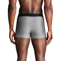 Boxeri pentru bărbați Under Armour Perf Tech Solid 3in 3Pack Steel Heather