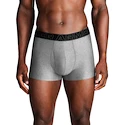 Boxeri pentru bărbați Under Armour Perf Tech Solid 3in 3Pack Steel Heather
