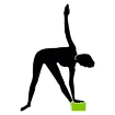 Casetă stepper Schildkröt  Yoga Block Green