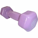 Gantere Power System  Vinyl Dumbell 2 Kg Purple