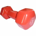 Gantere Power System  Vinyl Dumbell 3 Kg Red
