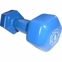 Gantere Power System  Vinyl Dumbell 4 Kg Blue