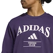 Hanorac pentru bărbați adidas  Heritage Graphic Crew Sweatshirt