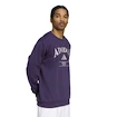 Hanorac pentru bărbați adidas  Heritage Graphic Crew Sweatshirt