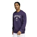 Hanorac pentru bărbați adidas  Heritage Graphic Crew Sweatshirt