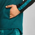 Hanorac pentru bărbați Puma  Train Off Season PWRFleece Hoodie Varsity Green