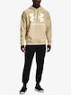Hanorac pentru bărbați Under Armour  Rival Fleece Big Logo HD-BRN