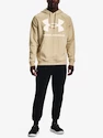 Hanorac pentru bărbați Under Armour  Rival Fleece Big Logo HD-BRN