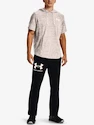 Hanorac pentru bărbați Under Armour  Rival Terry LC SS HD-WHT