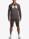 Hanorac pentru bărbați Under Armour  Rival Terry Logo Hoodie-BRN