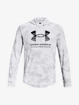 Hanorac pentru bărbați Under Armour  Rival Terry Novelty HD-WHT