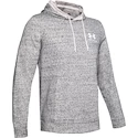 Hanorac pentru bărbați Under Armour  SPORTSTYLE TERRY HOODIE M