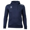 Hanorac pentru bărbați Warrior Alpha X Aspire Hoody