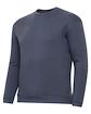 Hanorac pentru bărbați Warrior Aurum Sweater Grey
