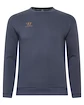 Hanorac pentru bărbați Warrior Aurum Sweater Grey