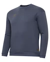 Hanorac pentru bărbați Warrior Aurum Sweater Grey