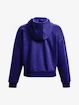 Hanorac pentru femei Under Armour  Essential Script Hoodie-BLU