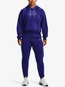 Hanorac pentru femei Under Armour  Essential Script Hoodie-BLU