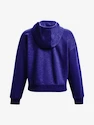 Hanorac pentru femei Under Armour  Essential Script Hoodie-BLU