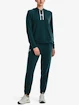 Hanorac pentru femei Under Armour  Rival Terry Hoodie-GRN
