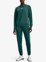 Hanorac pentru femei Under Armour  Rival Terry Hoodie-GRN