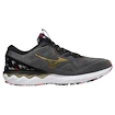 Încălțăminte de alergare pentru bărbați Mizuno  Wave Skyrise 2 Frost Gray