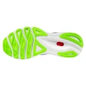 Încălțăminte de alergare pentru bărbați Mizuno  Wave Skyrise 3 Algiers Blue/White