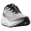 Încălțăminte de alergare pentru bărbați Salomon Aero Blaze 3 GRVL Lunar Rock/White/Black