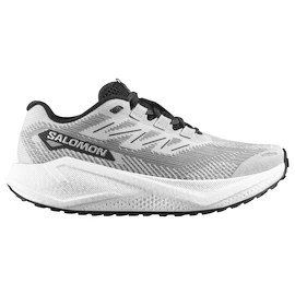 Încălțăminte de alergare pentru bărbați Salomon Aero Blaze 3 GRVL Lunar Rock/White/Black