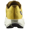 Încălțăminte de alergare pentru bărbați Salomon Aero Blaze 3 GRVL Spicy Mustard/Vanilla Ice/Nautical Blue