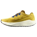 Încălțăminte de alergare pentru bărbați Salomon Aero Blaze 3 GRVL Spicy Mustard/Vanilla Ice/Nautical Blue