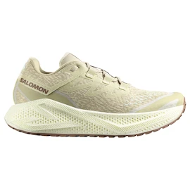Încălțăminte de alergare pentru bărbați Salomon Aero Glide 3 GRVL Green Haze/Vanilla Ice/Russet