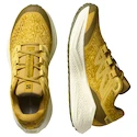 Încălțăminte de alergare pentru bărbați Salomon Aero Glide 3 GRVL Spicy Mustard/Vanilla Ice/Deep Lichen Green