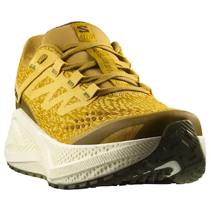 Încălțăminte de alergare pentru bărbați Salomon Aero Glide 3 GRVL Spicy Mustard/Vanilla Ice/Deep Lichen Green