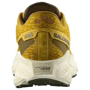 Încălțăminte de alergare pentru bărbați Salomon Aero Glide 3 GRVL Spicy Mustard/Vanilla Ice/Deep Lichen Green
