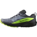 Încălțăminte de alergare pentru bărbați Salomon Sense Ride 5 GTX Flint/Black/Grgeck