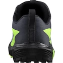 Încălțăminte de alergare pentru bărbați Salomon Sense Ride 5 GTX Flint/Black/Grgeck