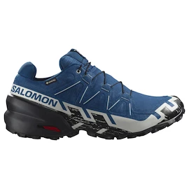 Încălțăminte de alergare pentru bărbați Salomon Speedcross 6 Gore-Tex Poseidon/Black/Lunar Rock