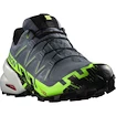 Încălțăminte de alergare pentru bărbați Salomon Speedcross 6 Gtx Flint/Grgeck/Black