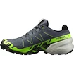 Încălțăminte de alergare pentru bărbați Salomon Speedcross 6 Gtx Flint/Grgeck/Black
