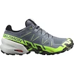 Încălțăminte de alergare pentru bărbați Salomon Speedcross 6 Gtx Flint/Grgeck/Black