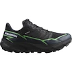 Încălțăminte de alergare pentru bărbați Salomon Thundercross  GTX Black/Grgeck/Black