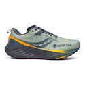 Încălțăminte de alergare pentru bărbați Saucony  Triumph 22 Gtx Sage/Carbon  UK 7,5