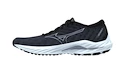 Încălțăminte de alergare pentru femei Mizuno  Wave Inspire 19 Black/Silverstar/Snowcrest  UK 6,5