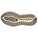 Încălțăminte de alergare pentru femei Salomon Aero Glide 3 GRVL Burnt Ochre/Vanilla Ice/Etherea